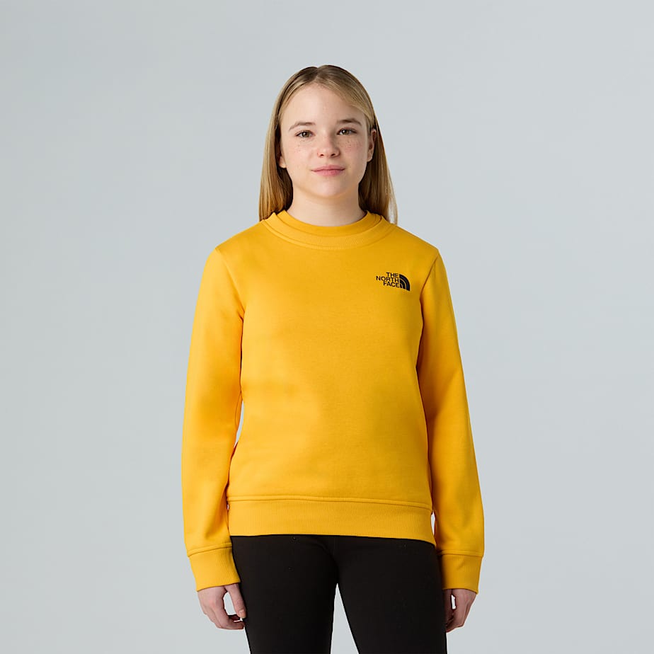 Teens' NSE Box Sweatshirt